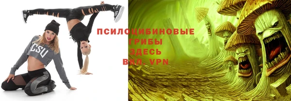 не бодяженный Белокуриха