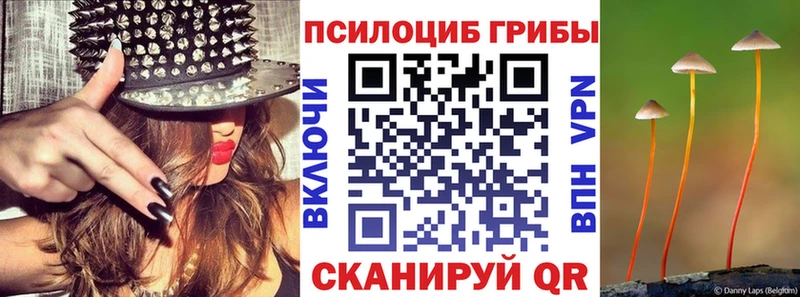 Псилоцибиновые грибы Cubensis  сколько стоит  Кемь 